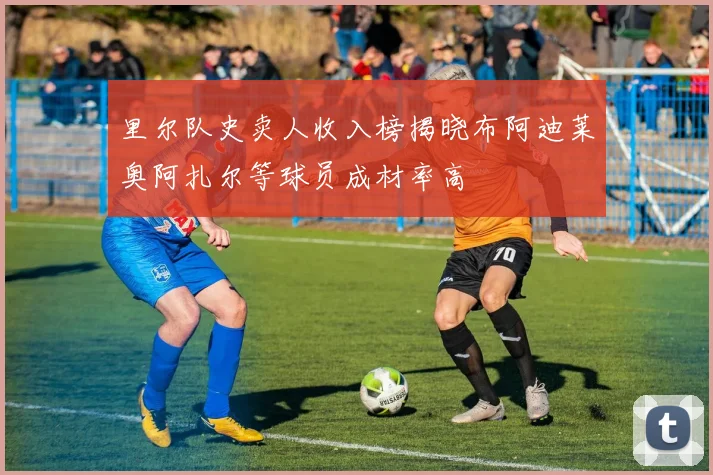 里尔队史卖人收入榜揭晓布阿迪莱奥阿扎尔等球员成材率高