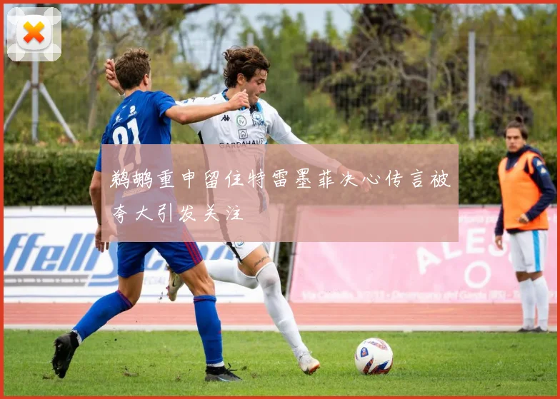 鹈鹕重申留住特雷墨菲决心传言被夸大引发关注