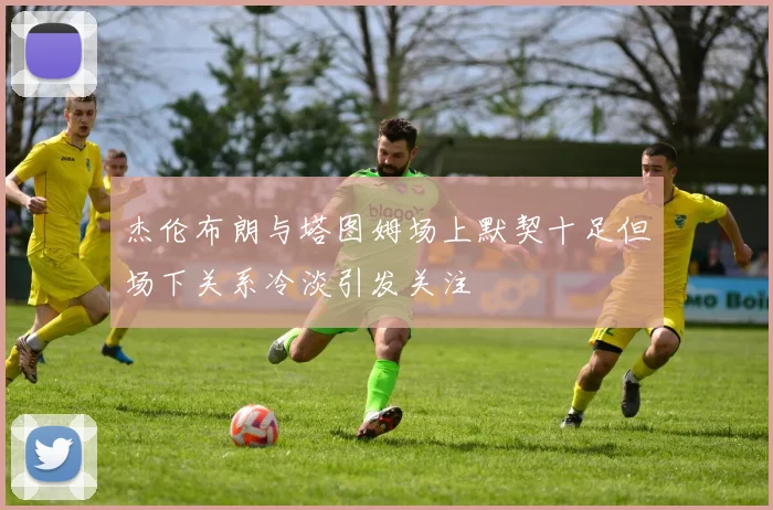 杰伦布朗与塔图姆场上默契十足但场下关系冷淡引发关注