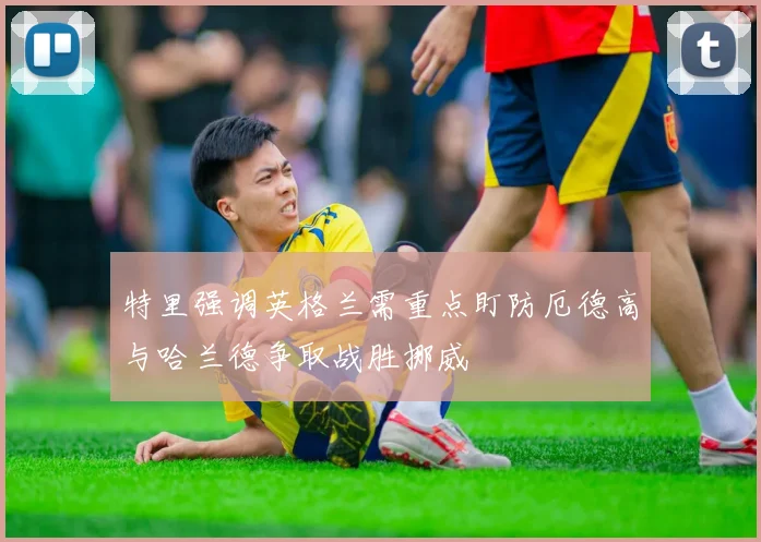 特里强调英格兰需重点盯防厄德高与哈兰德争取战胜挪威